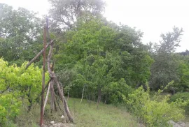 Land For Sale, Agricultural, Norio 