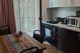 Аренда, 3 Kомнатная, Новостройка, Тбилиси, Плато Нуцубидзе