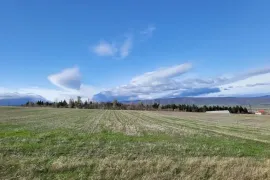 Land For Sale, Non Agricultural, Aghaiani