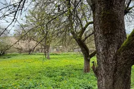 იყიდება მიწის ნაკვეთი, ახალსოფელი 