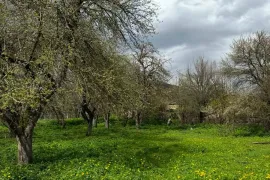 იყიდება მიწის ნაკვეთი, ახალსოფელი 
