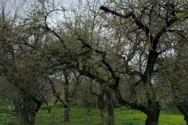 იყიდება მიწის ნაკვეთი, ახალსოფელი 