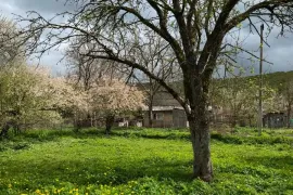 იყიდება მიწის ნაკვეთი, ახალსოფელი 