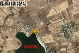 Land For Sale, Agricultural, Bazaleti 
