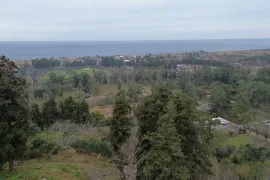 იყიდება მიწის ნაკვეთი, არა სასოფლო - სამეურნეო, ხელვაჩაური