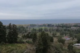 იყიდება მიწის ნაკვეთი, არა სასოფლო - სამეურნეო, ხელვაჩაური