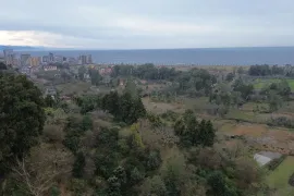 იყიდება მიწის ნაკვეთი, არა სასოფლო - სამეურნეო, ხელვაჩაური