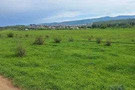 Продается Земля, Сельскохозяйственные, Озеро Лиси