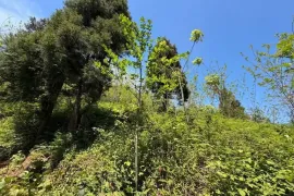 იყიდება მიწის ნაკვეთი, არა სასოფლო - სამეურნეო