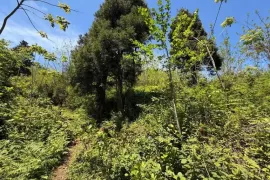 იყიდება მიწის ნაკვეთი, არა სასოფლო - სამეურნეო