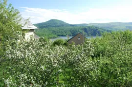 Продается Дом, 5 Kомнатная, Тетрицкаро район, Tbisi