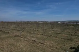 იყიდება მიწის ნაკვეთი, საინვესტიციო, შულავერი 