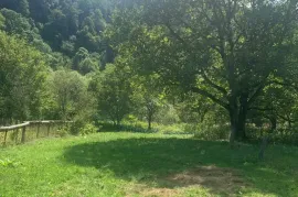 იყიდება მიწის ნაკვეთი, სასოფლო - სამეურნეო, ტიმოთესუბანი