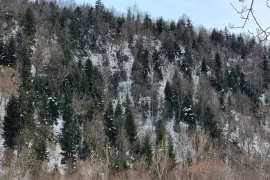 იყიდება მიწის ნაკვეთი, სასოფლო - სამეურნეო, ტიმოთესუბანი