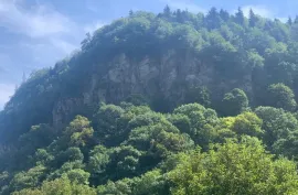იყიდება მიწის ნაკვეთი, სასოფლო - სამეურნეო, ტიმოთესუბანი