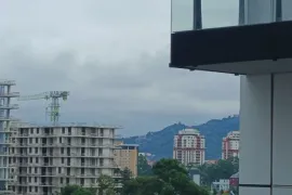 იყიდება ბინა, 1 ოთახიანი, ახალი აშენებული, ბათუმი, აეროპორტის უბანი