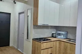 ქირავდება ბინა, 2 ოთახიანი, ახალი აშენებული, თბილისი, დიდი დიღომი