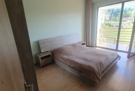 ქირავდება სახლი დღიურად, 6 ოთახიანი, ბორჯომი, ბაკურიანი