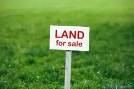 Lease Land , Kojori