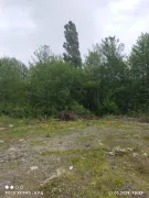 Продается Земля, Сельскохозяйственные, Кобулети