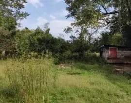 Продается Земля, Сельскохозяйственные, Кобулети