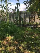 Land For Sale, Chokhatauri