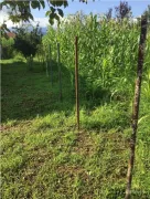 Land For Sale, Chokhatauri