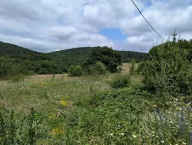 Land For Sale, Orbeti 