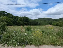 Land For Sale, Orbeti 