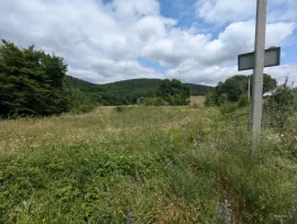 Land For Sale, Orbeti 