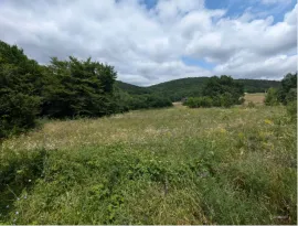 Land For Sale, Orbeti 