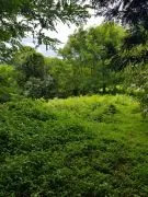 Land For Sale, Kakhaberi District