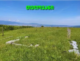 Land For Sale, Telovani