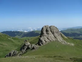 საქართველოს კურორტები: ბაკურიანი, ბახმარო