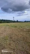 Land For Sale, Martkopi