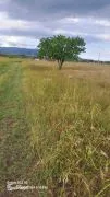 Land For Sale, Martkopi