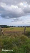 Land For Sale, Martkopi