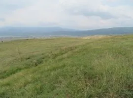 Land For Sale, Agricultural, Mukhiani