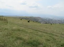 Land For Sale, Agricultural, Mukhiani