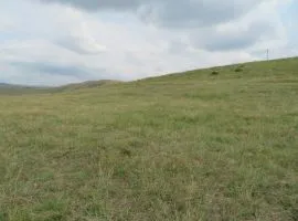 Land For Sale, Agricultural, Mukhiani