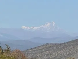 იყიდება მიწის ნაკვეთი, საგურამო