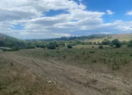 Land For Sale, Martkopi