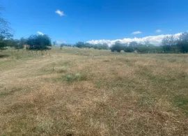 Land For Sale, Martkopi