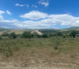 Land For Sale, Martkopi