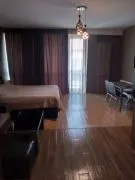 Daily Apartment Rent, 1 Room, New building, Borjomi , Bakuriani