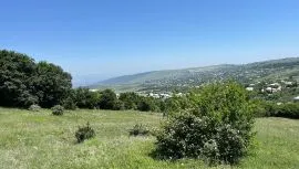 Продается Земля, Специальный, Цавкиси