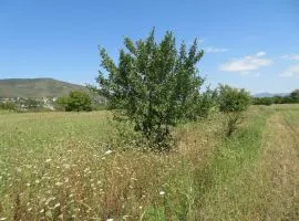 Продается Земля, Сельскохозяйственные, Ахалубани