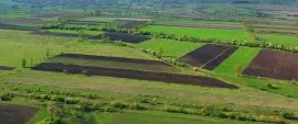 Land For Sale, Agricultural, Gorana 