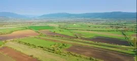 Land For Sale, Agricultural, Gorana 