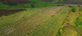 Land For Sale, Agricultural, Gorana 